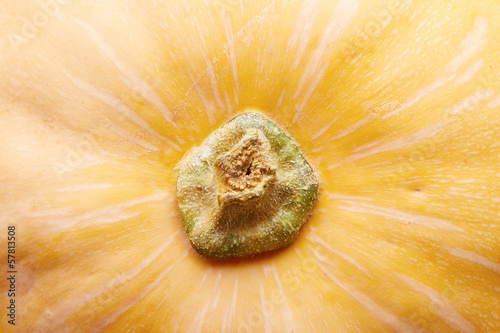 Photo: Detail of a raw pumpkin Detail of a raw pumpkin