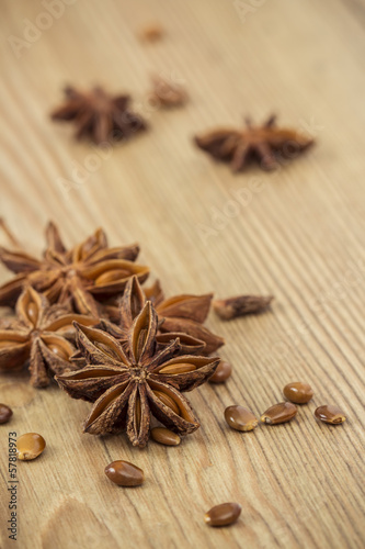 Photo: Star Anise Star Anise