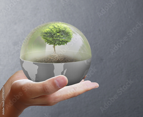 Photo: Small tree in hand businessman Small tree in hand businessman
