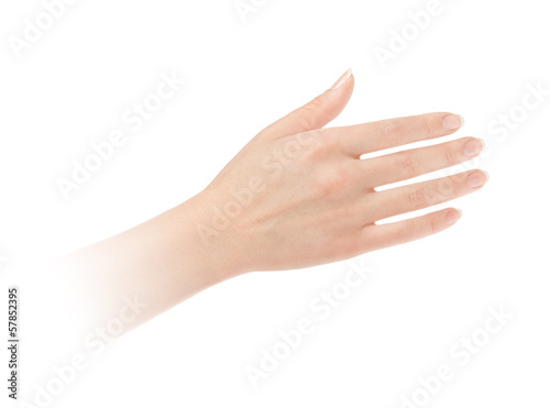 Photo: Empty open woman hand on white background Empty open woman hand on white background