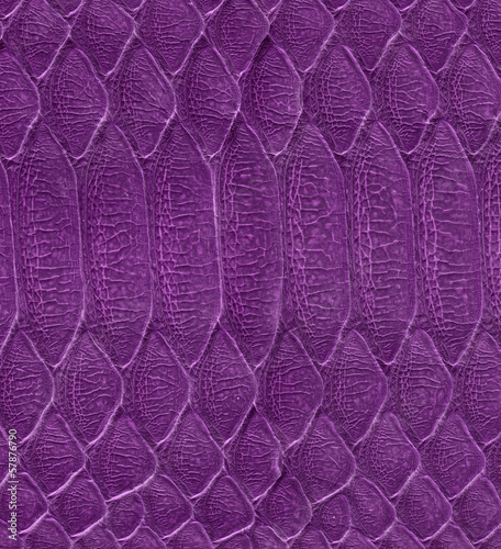 Photo: painted python skin close up painted python skin close up