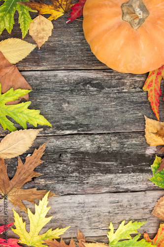 Photo: autumn background autumn background