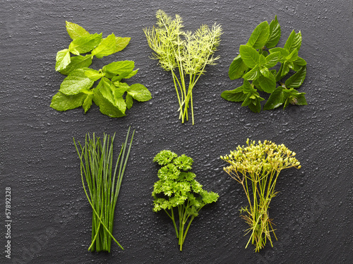 Photo: Herbs Herbs