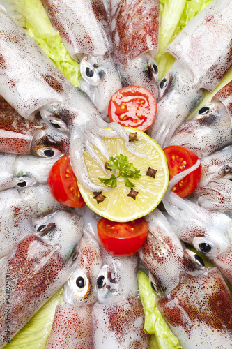 Photo: squids squids