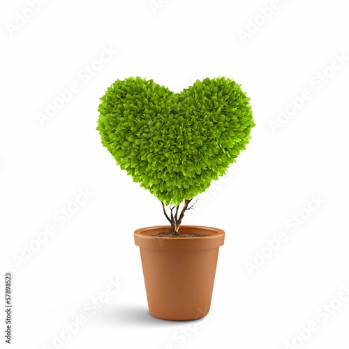 Photo: Heart symbol Heart symbol