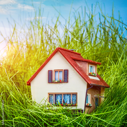 Photo: House on the green grass House on the green grass