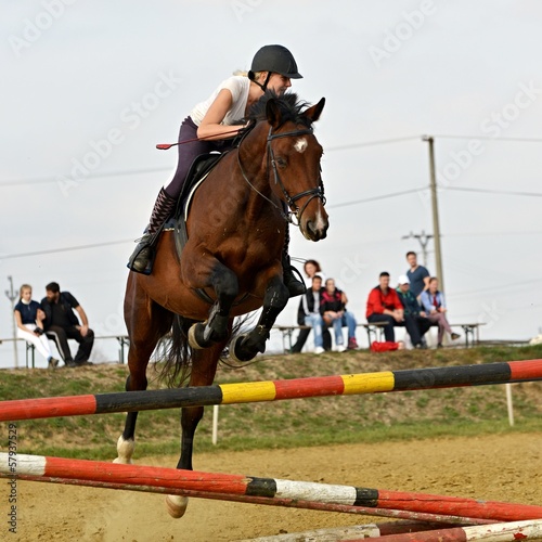 Photo: horse jumping horse jumping