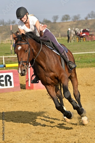 Photo: horse jumping horse jumping