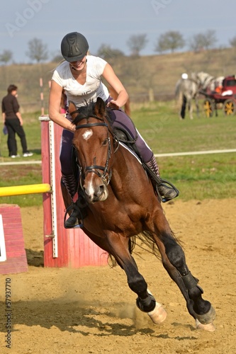 Photo: horse jumping horse jumping