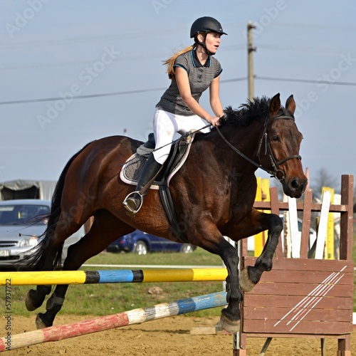 Photo: horse jumping horse jumping