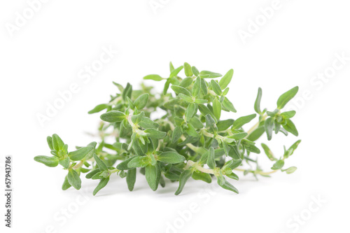 Photo: Thyme Thyme