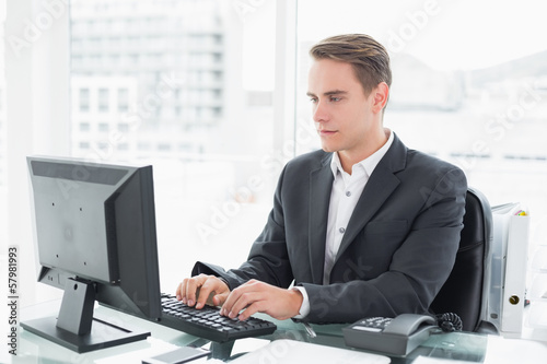Photo: Businessman using computer at office desk Businessman using computer at office desk