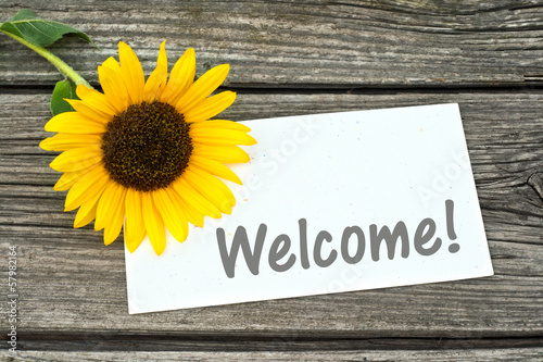 Photo: welcome welcome