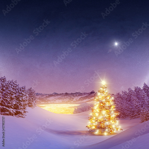 Illustration: Beleuchteter Christsbaum Im Wald Beleuchteter Christsbaum Im Wald