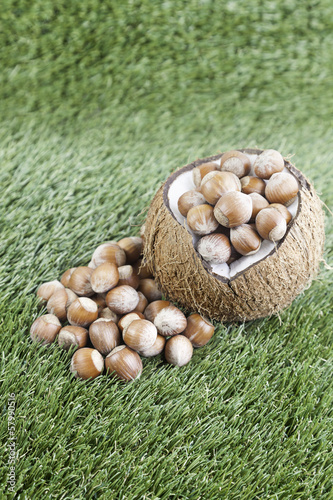 Photo: Coco with raw hazelnuts Coco with raw hazelnuts