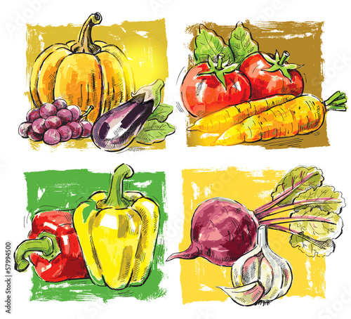 Vector: vector fresh farm vector fresh farm