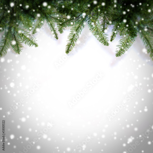 Photo: #5041133 #5041133