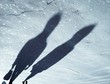 people shadow people shadow