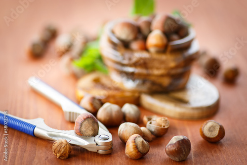 Photo: hazelnut hazelnut