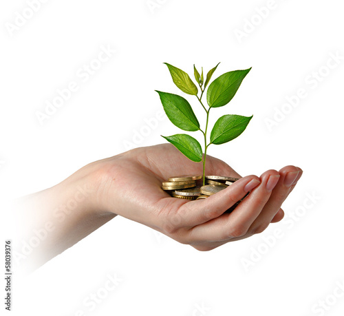Photo: Investing to green business Investing to green business