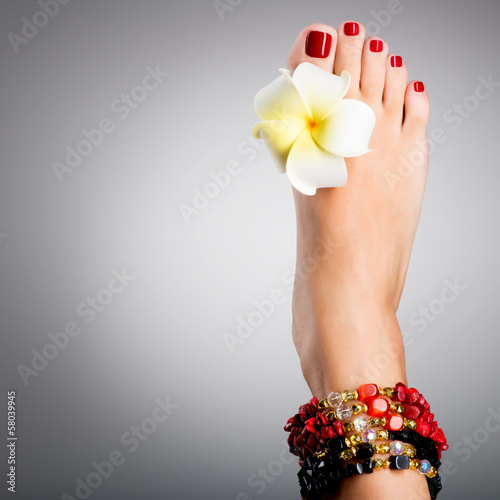 Photo: Beautiful female feet with red pedicure Beautiful female feet with red pedicure