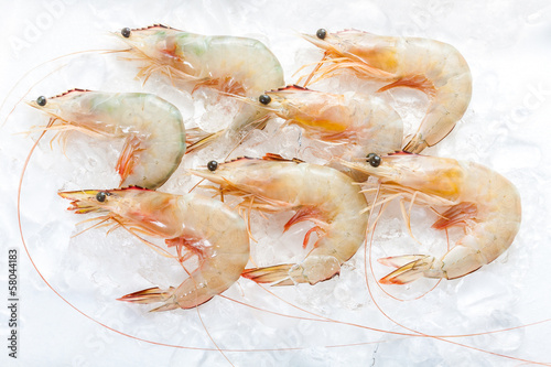 Photo: Seven fresh Banana Shrimps setting on ice in white background Seven fresh Banana Shrimps setting on ice in white background