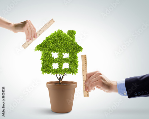 Photo: Clean house Clean house