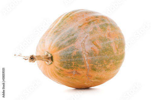 Photo: Calabash pumpkin Calabash pumpkin
