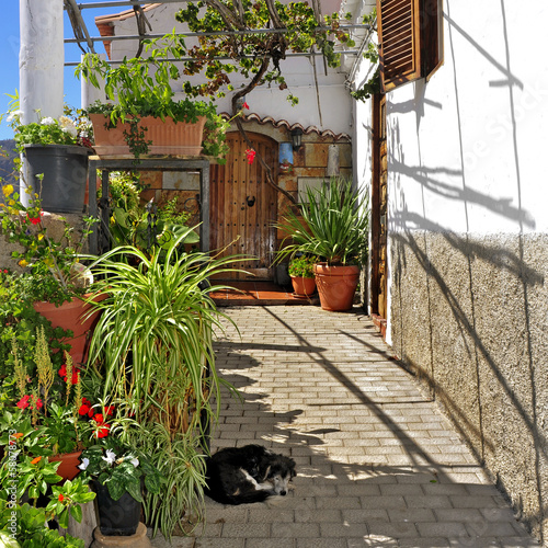Photo: street of Fataga, Gran Canaria, Spain street of Fataga, Gran Canaria, Spain