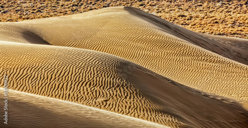 Photo: Dunes of Thar Desert, Rajasthan, India Dunes of Thar Desert, Rajasthan, India