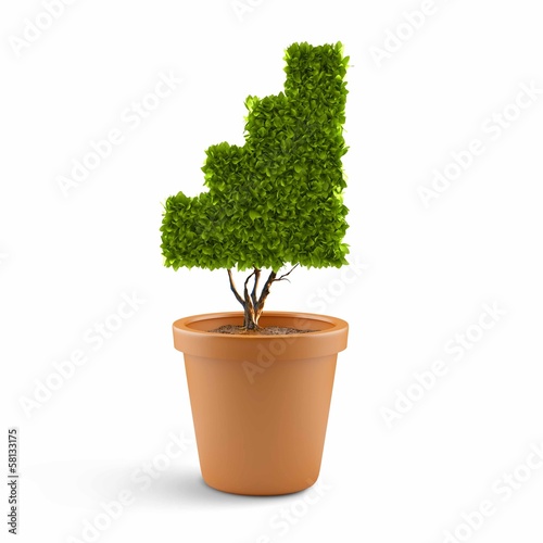 Illustration: Growth concept Growth concept