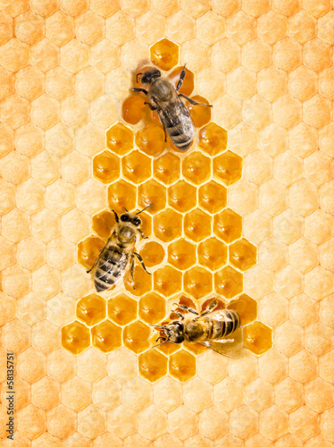 Photo: Christmas tree frome honey cells with bees Christmas tree frome honey cells with bees