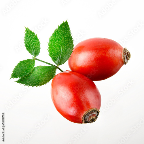 Photo: Rose hip. Two berries isolated on a white background. Rose hip. Two berries isolated on a white background.