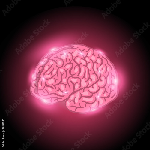 Illustration: brain brain
