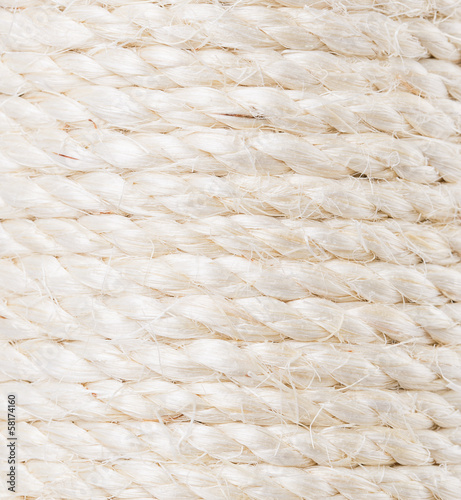 Photo: scratching post scratching post