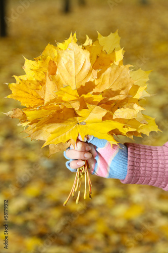 Photo: Bouquet of yellow leaves in hand Bouquet of yellow leaves in hand