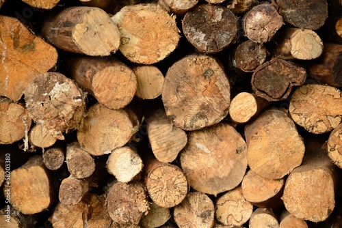 Photo: Log pile close-up Log pile close-up