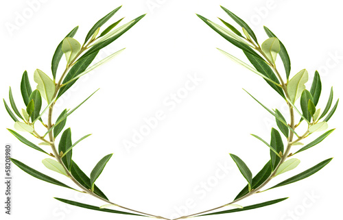Photo: couronne d'olivier couronne d'olivier
