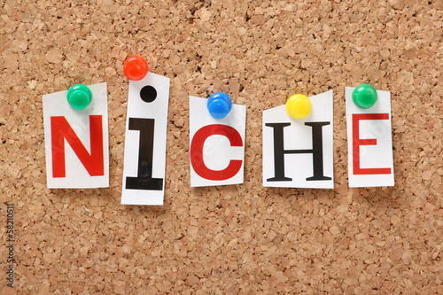 Photo: The word Niche on a cork notice board The word Niche on a cork notice board