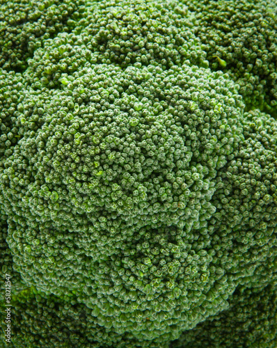 Photo: Texture of broccoli Texture of broccoli