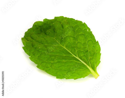 Photo: Mint leaf. Mint leaf.