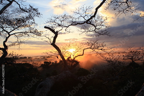 Photo: Amazonas Amazonas