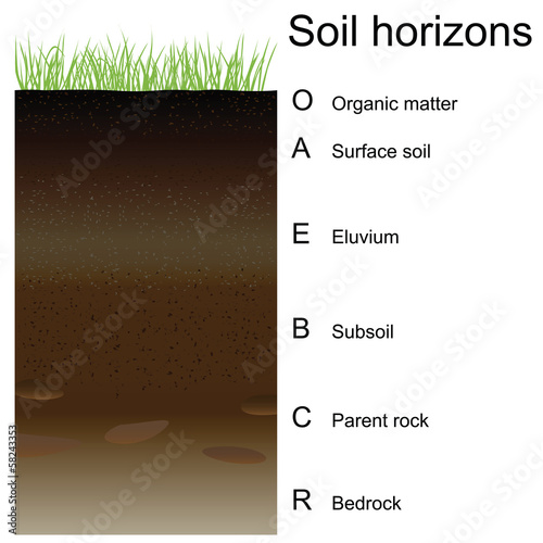 Vector: Vector illustration of soil horizons (layers) Vector illustration of soil horizons (layers)