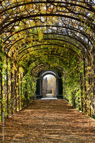 Photo: Gartenlaube Gartenlaube