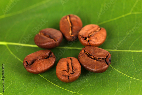 Photo: Coffee grains on green leaf close-up Coffee grains on green leaf close-up