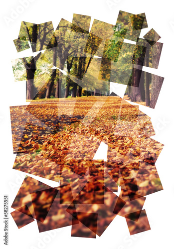 Photo: autumn park collage autumn park collage