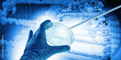 Photo: DNA molecule DNA molecule