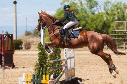 Photo: Dressage competitions Dressage competitions