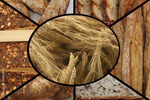 Photo: Blé - Pains Variés - Boulangerie Blé - Pains Variés - Boulangerie