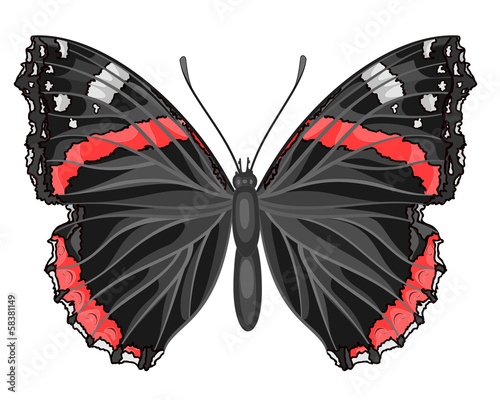 Vector: Butterfly Vanessa atalanta Butterfly Vanessa atalanta